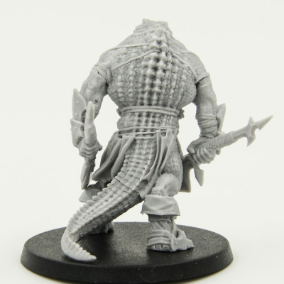 Hell dorad lost Ashoka catalog photo view back