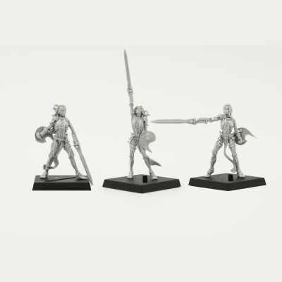 Valkyries of Alahan #2 x3