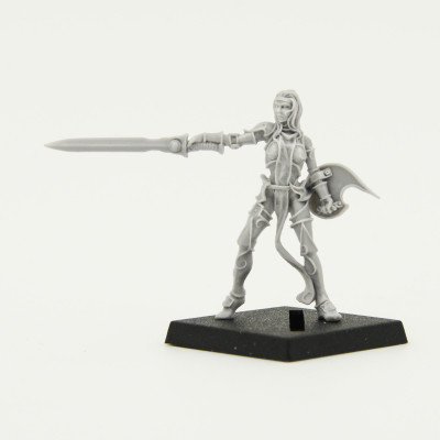 rackham confrontation lions of alahan valkyiries 2 catalog photo front 4