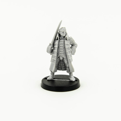 Privateer Godwin