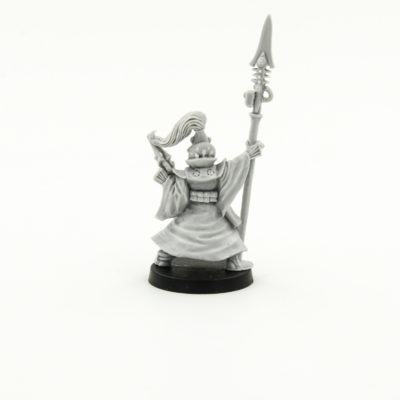 Eldar Farseer and Warlocks