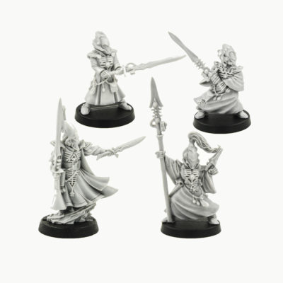 Eldar Farseer and Warlocks