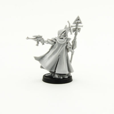 Eldar Farseer with Staff