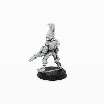 Eldar Fire Dragons