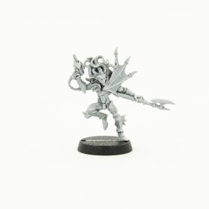 Dark Eldar Beastmaster, warhammer40000, warhammer 40K, Dark Eldar