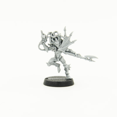 Dark Eldar Beastmaster, warhammer40000, warhammer 40K, Dark Eldar