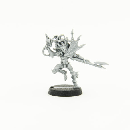 Dark Eldar Beastmaster, warhammer40000, warhammer 40K, Dark Eldar