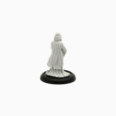 Aglanda Herald of Razmir (Reaper Miniatures)