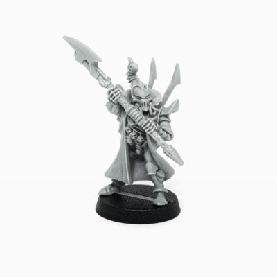 Dark Eldar Bodyguard 1999