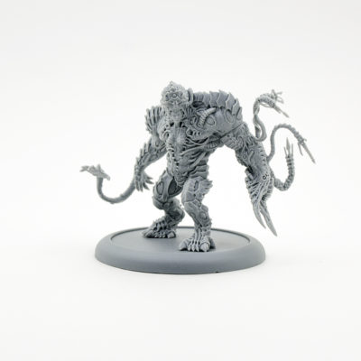 Strain Phaedrus Chirurge