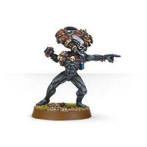 Culexus Assassin 1 1998