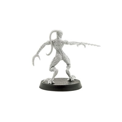 Strain Scythe Witch