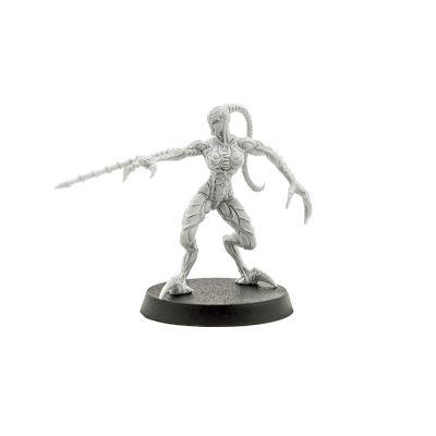 Strain Scythe Witch