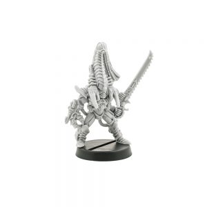 Eldar Phoenix Lord Karandras