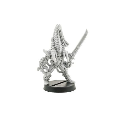 Eldar Phoenix Lord Karandras