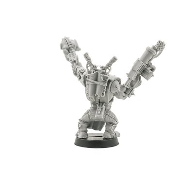 Ork Warboss with Attack Squig