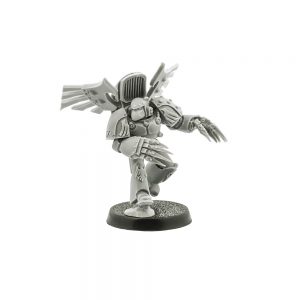 Raven Guard Dark Fury Assault Squad