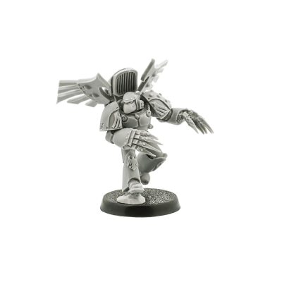 Raven Guard Dark Fury Assault Squad