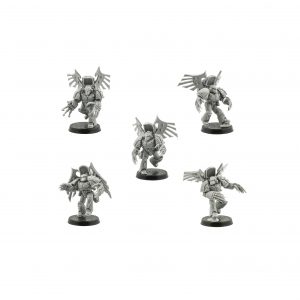 Raven Guard Dark Fury Assault Squad