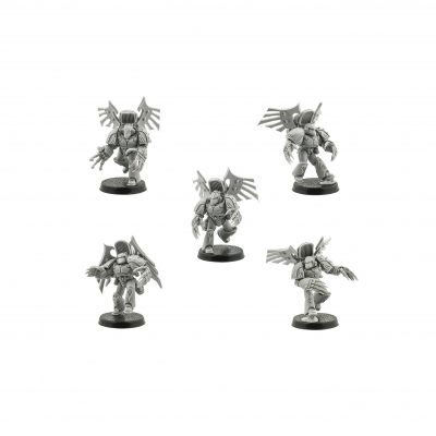Raven Guard Dark Fury Assault Squad