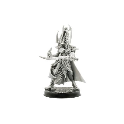 Dark Eldar Archon