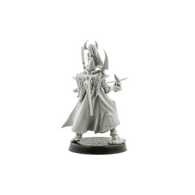Dark Eldar Archon