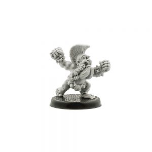 Blood Bowl Trollslayer #1
