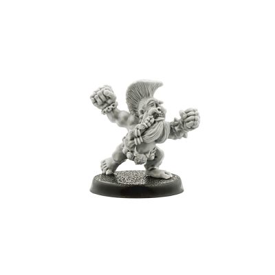 Blood Bowl Trollslayer #1