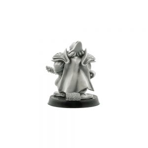 Brotherhood Inquisitor