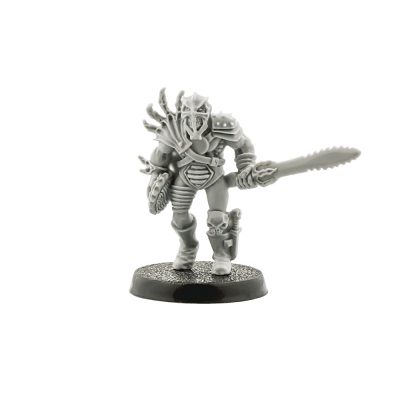Dark Legion Callistonian Intruder