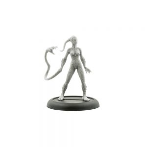Strain Phaedrus