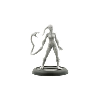 Strain Phaedrus