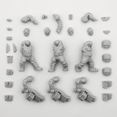 Ogryns
