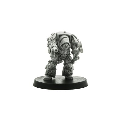 Daemonhunter Inquisitor in Terminator Armour
