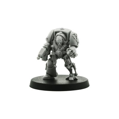 Inquisitor Terminator