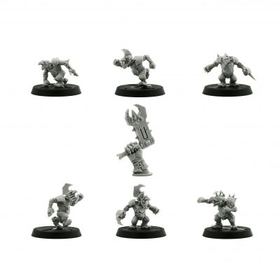 The Scarcrag Snivellers – Goblin Blood Bowl Team*6