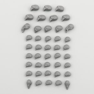Skulls from Hero Base
