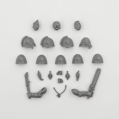 Space Wolves Primaris Upgrades