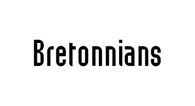 Bretonnians