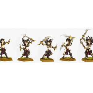 Dark Elf Witch Regiment x5 2001