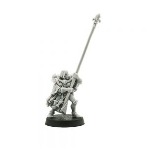 Battle Sister Icon Bearer