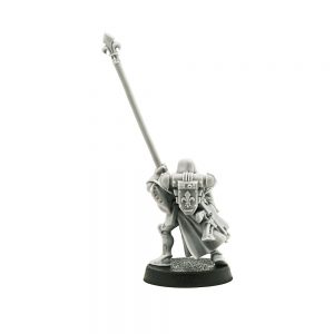 Battle Sister Icon Bearer