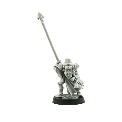 Battle Sister Icon Bearer