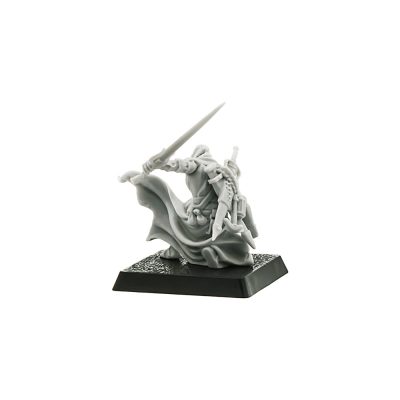 Assassin Mercenaries