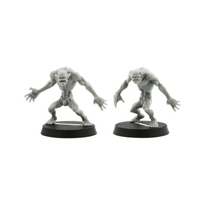 Ur-Ghuls x2 (Blackstone Fortress)