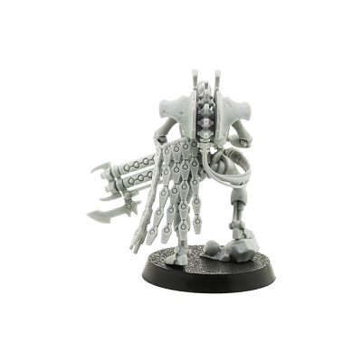 Royal Warden (Indomitus)