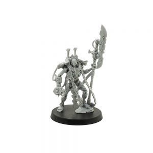 Overlord (Indomitus)