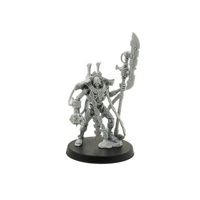 Overlord (Indomitus)