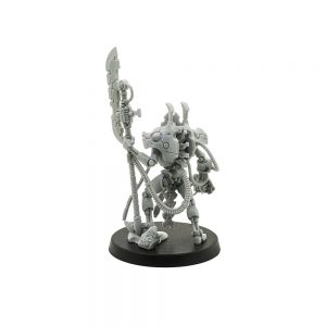 Overlord (Indomitus)