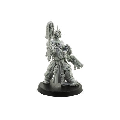 Primaris Chaplain (Indomitus)